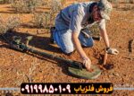 گرت آکسیوم