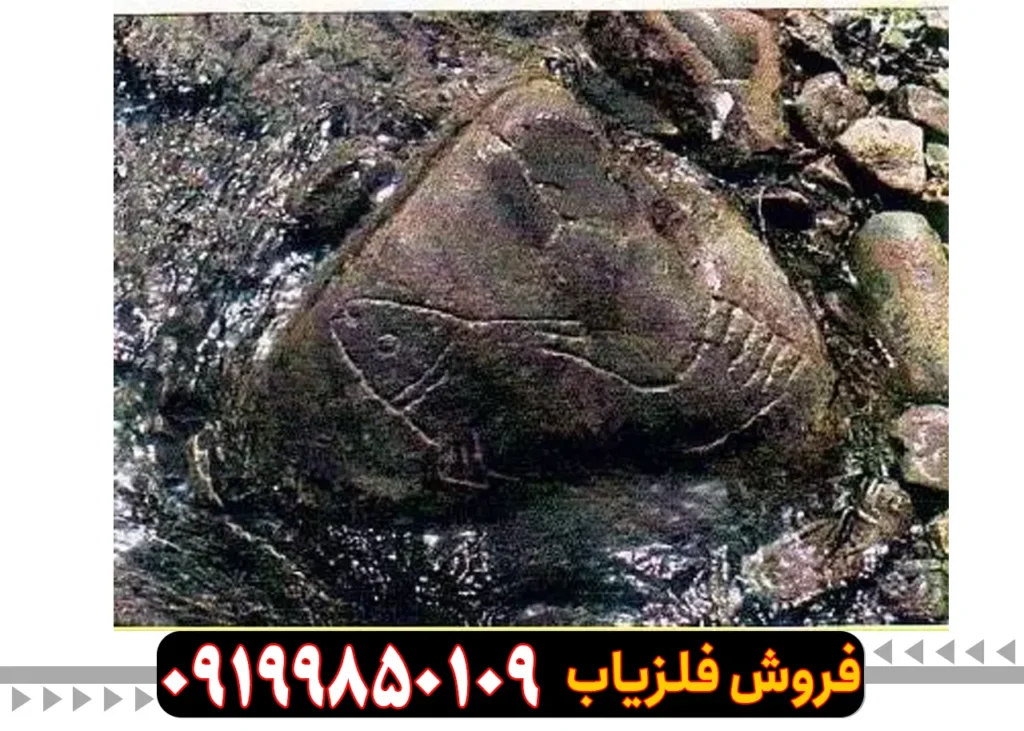 نشانه ماهی در گنج یابی و دفینه یابی