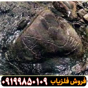 نشانه ماهی در گنج یابی و دفینه یابی