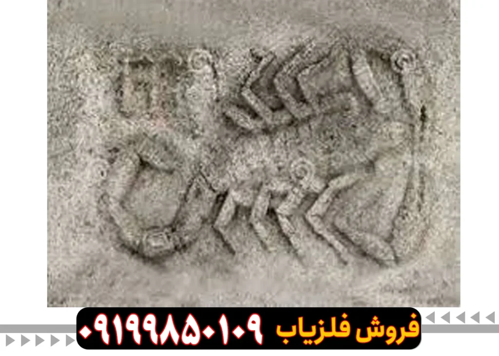 تفسیر نماد عقرب در گنجیابی