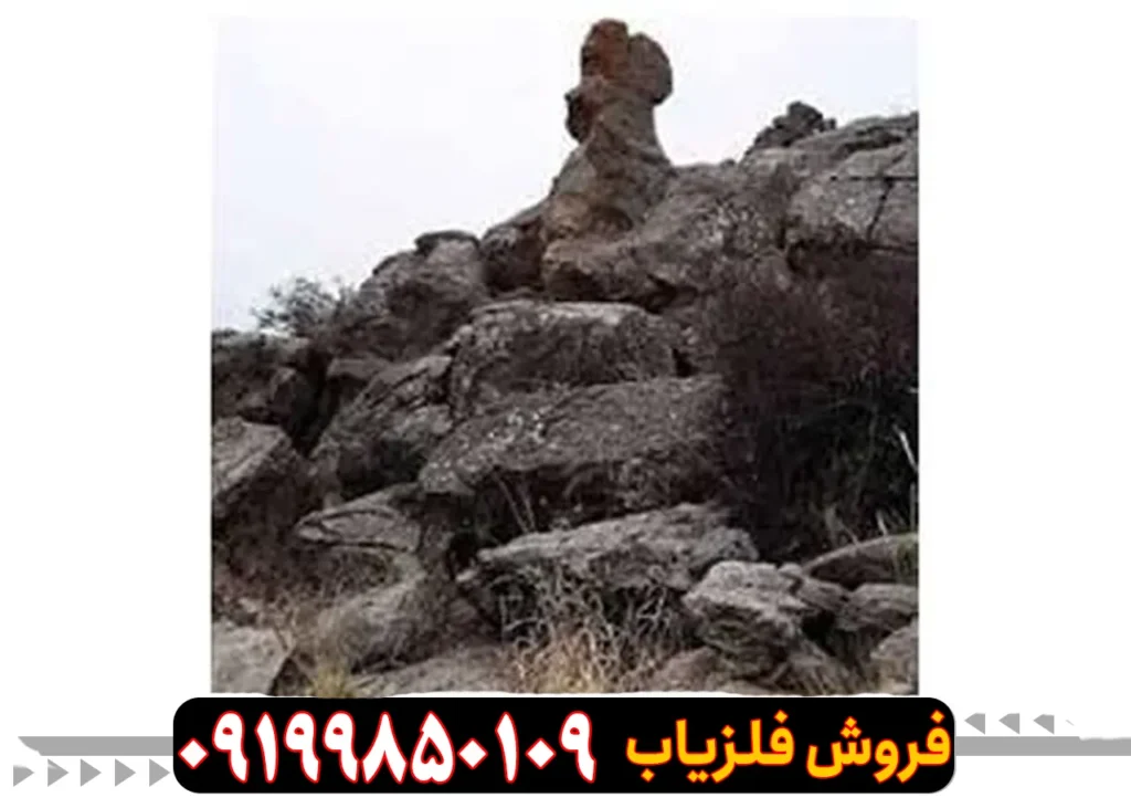 تفسیر نماد خروس در دفینه یابی