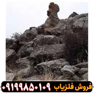 تفسیر نماد خروس در دفینه یابی