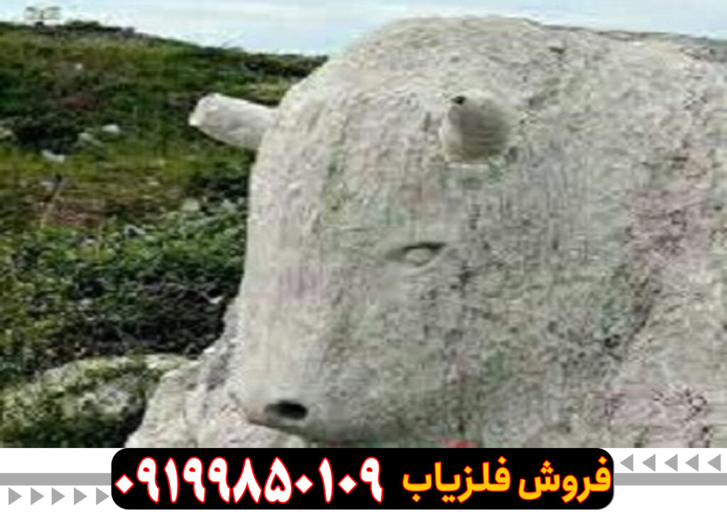 تفسیر نماد گاو در گنج یابی