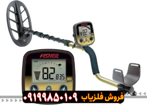 فیشر گلد باگ