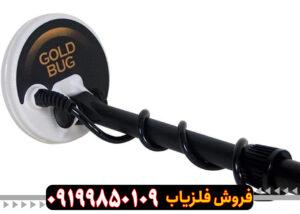 فیشر گلد باگ